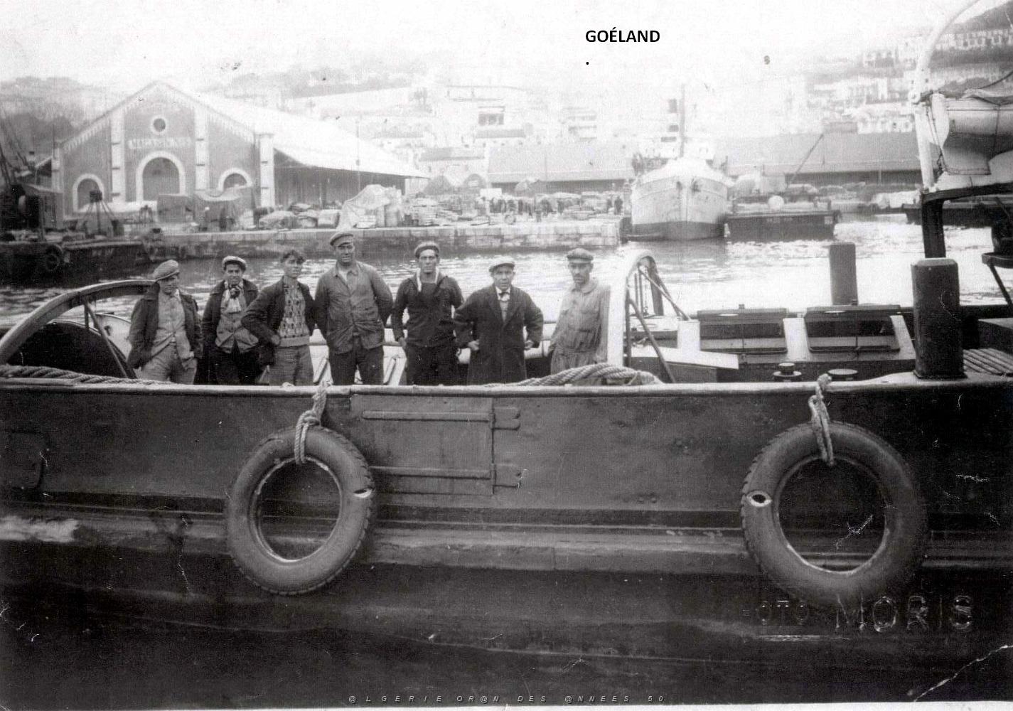 GOELAND 0.jpg